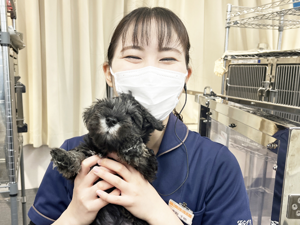 先生たち、楽しんでお世話しています☆